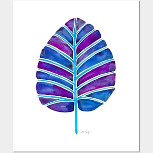 Indigo Alocasia Posters and Art